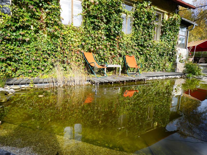 Biotop mit Springbrunnen