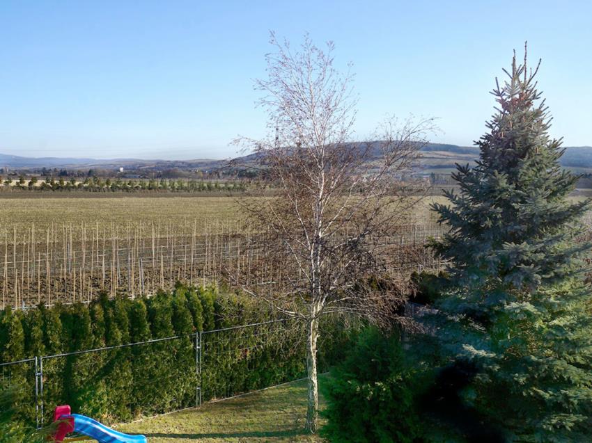 Ausblick ins Tullnerfeld