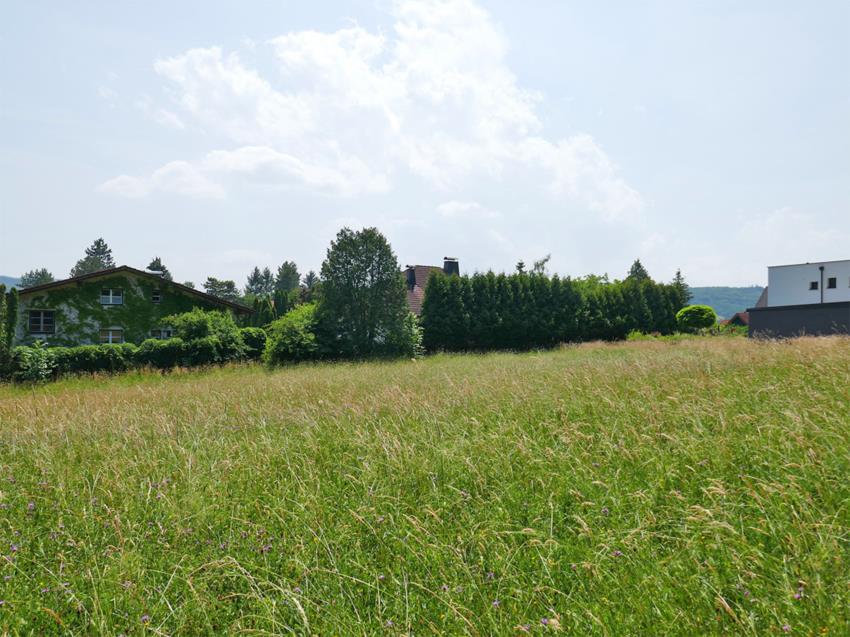 Entlang der Widm.grenze von N 