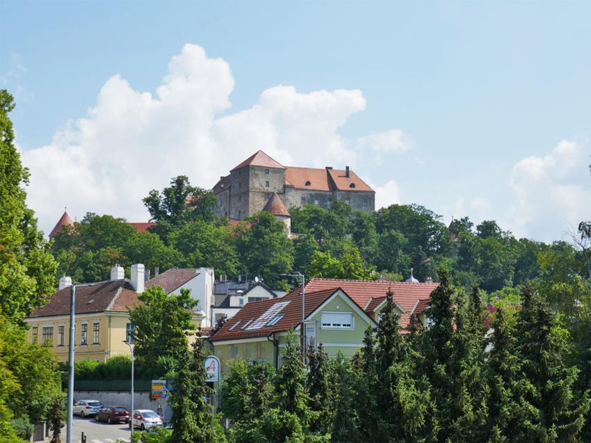 Blick Burg Neulengbach