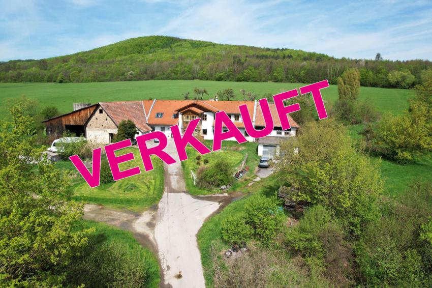 Landwirtschaft/Bauernhof in zentraler Dorflage vor den Toren Wiens